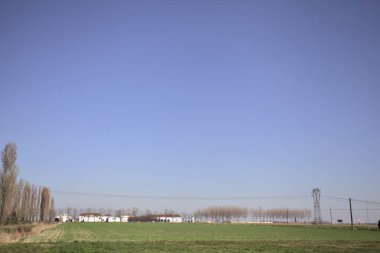 Yanı başında ağaçlar ve ufukta İtalya kırsalında bir köşk olan boş bir çayır.