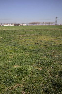 Yanı başında ağaçlar ve ufukta İtalya kırsalında bir köşk olan boş bir çayır.