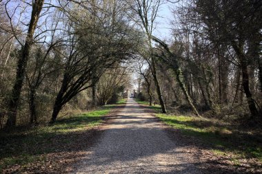 Ağaçların üzerinde kavis açtığı patika kırsaldaki bir parktaki kapıya çıkıyor.