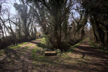 Bir parkın gölgesinde yollarımız ayrılıyor.