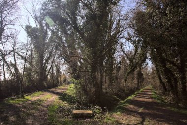 Bir parkın gölgesinde yollarımız ayrılıyor.