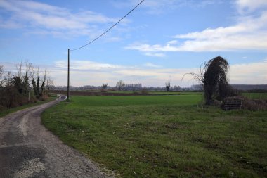 Tarlanın kenarındaki yol çatlamış, üzerinde elektrik hattı var ve kırsalda güneşli bir günde uzakta bir ev var.
