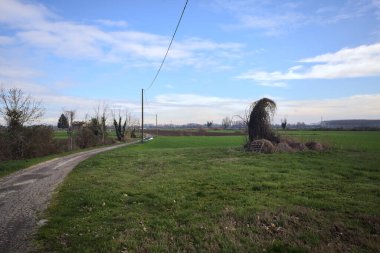 Tarlanın kenarındaki yol çatlamış, üzerinde elektrik hattı var ve kırsalda güneşli bir günde uzakta bir ev var.