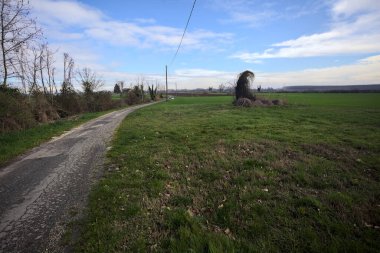 Tarlanın kenarındaki yol çatlamış, üzerinde elektrik hattı var ve kırsalda güneşli bir günde uzakta bir ev var.