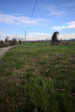 Tarlanın kenarındaki yol çatlamış, üzerinde elektrik hattı var ve kırsalda güneşli bir günde uzakta bir ev var.