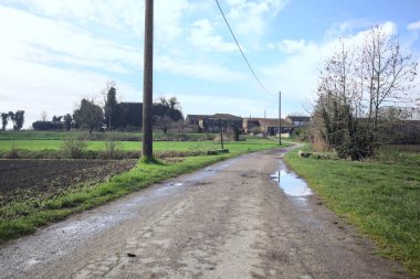 Tarlanın kenarındaki yol çatlamış, üzerinde elektrik hattı var ve kırsalda güneşli bir günde uzakta bir ev var.