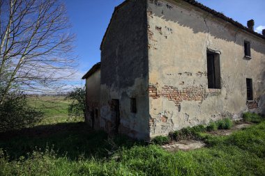 Terk edilmiş bir kır evinin köşesinde güneşli bir günde bir tarlanın üzerindeki ağacın yanında.