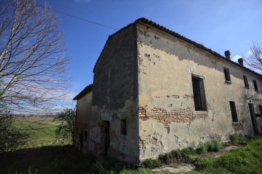 Terk edilmiş bir kır evinin köşesinde güneşli bir günde bir tarlanın üzerindeki ağacın yanında.