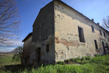 Terk edilmiş bir kır evinin köşesinde güneşli bir günde bir tarlanın üzerindeki ağacın yanında.