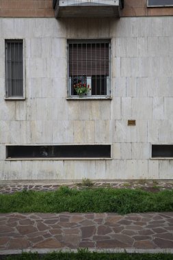 Cam vazodaki laleler bir caddenin kaldırımından görünen bir binanın pencere eşiğinde.