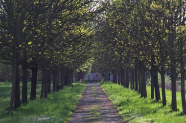 Gün batımında İtalya kırsalındaki bir parkta iki sıra ağaçla çevrili patika.