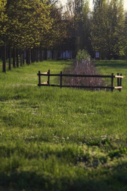 Ağaçlar ve gün batımında parktaki sazlıkların olduğu siperler uzaktan görülüyor.