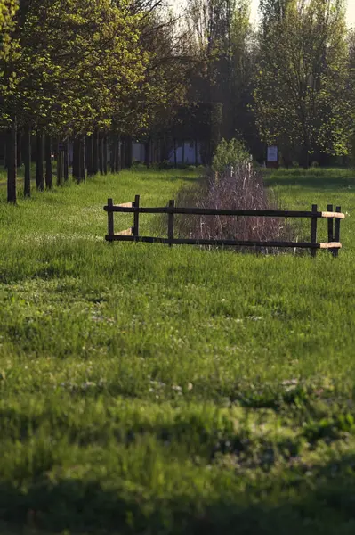 Ağaçlar ve gün batımında parktaki sazlıkların olduğu siperler uzaktan görülüyor.