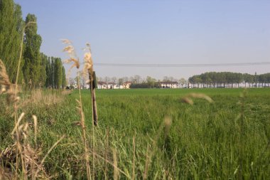İtalya 'nın kırsal kesimlerinde ekilmemiş tarlalar. Bir köşkü ve ufukta bir bahçesi var.