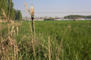 İtalya 'nın kırsal kesimlerinde ekilmemiş tarlalar. Bir köşkü ve ufukta bir bahçesi var.