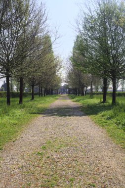 Güneşli bir günde, İtalya 'nın kırsal kesimindeki bir parkta ağaçlar arasında yol almak.