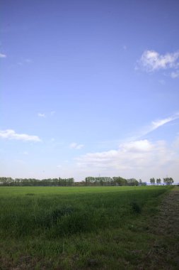 Gün batımında İtalya kırsalındaki bir koruluğa uzanan ekili bir tarlanın köşesi.