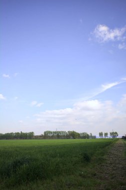 Gün batımında İtalya kırsalındaki bir koruluğa uzanan ekili bir tarlanın köşesi.