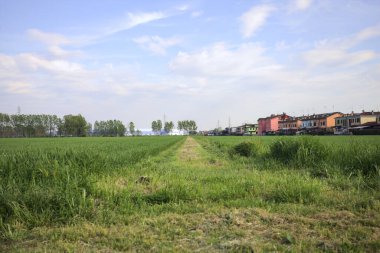 Gün batımında İtalya kırsalında ekili tarlalar ve bir sıra ağaç arasındaki sınama.