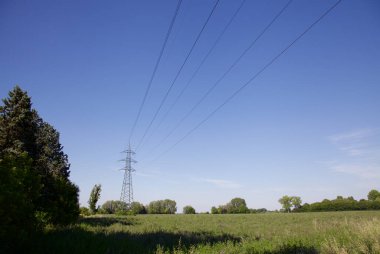 İtalya kırsalında güneşli bir günde ufukta ağaçlar görünen çimen tarlası