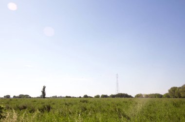 İtalya kırsalında güneşli bir günde ufukta ağaçlar görünen çimen tarlası