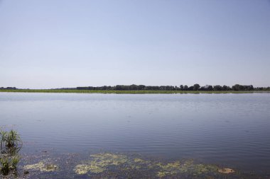 Gün batımında göl kenarına park et. Suda dökülen ağaçlar uzaktan görülebilir.