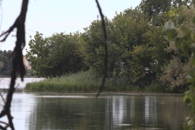 Kırsal kesimde ağaç dalları tarafından çerçevelenmiş sudaki ağaçların oluşturduğu bir göl girişi.