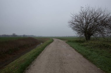 İtalya kırsalında bulutlu bir günde tarlalar arasındaki kirli yol
