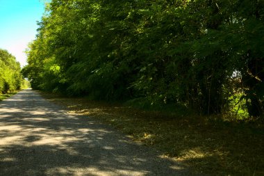 İtalya kırsalında güneşli bir günde bir parkın ortasında çakıl taşlı patika.