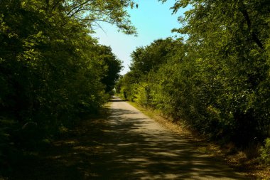 İtalya kırsalında güneşli bir günde bir parkın ortasında çakıl taşlı patika.