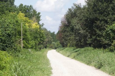 İtalya kırsalında güneşli bir günde bir parkın ortasında çakıl taşlı patika.