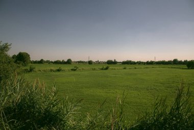 İtalya kırsalında güneşli bir günde ufukta ağaçlar görünen çimen tarlası