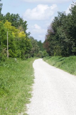 İtalya kırsalında güneşli bir günde bir parkın ortasında çakıl taşlı patika.