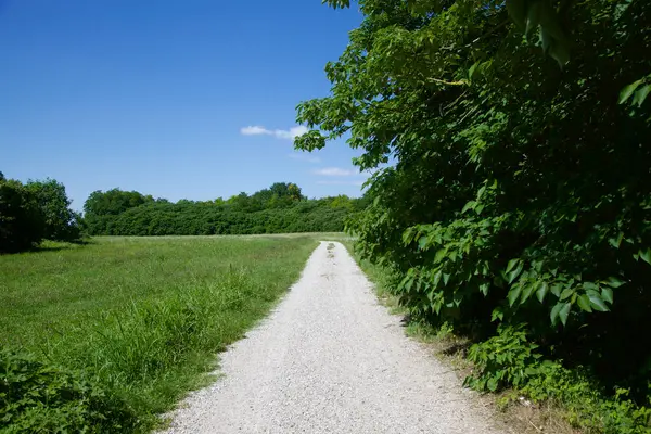 İtalya kırsalında güneşli bir günde bir parkın ortasında çakıl taşlı patika.