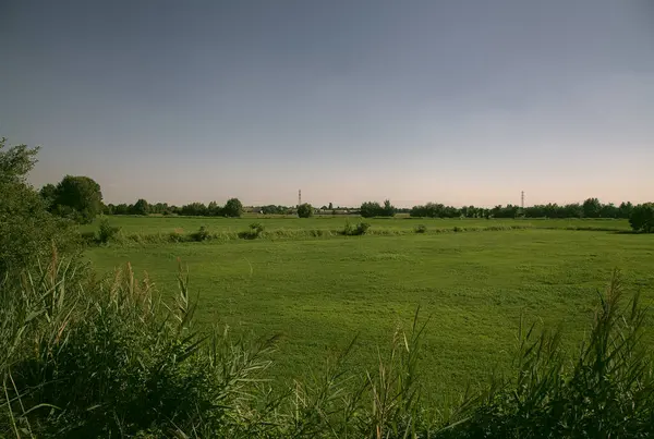 İtalya kırsalında güneşli bir günde ufukta ağaçlar görünen çimen tarlası