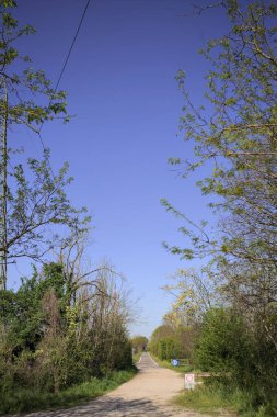 İtalya 'nın kırsal kesimindeki bir koruluğun sonundaki kaldırımlı bir yola çıkan toprak yol.