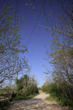 İtalya 'nın kırsal kesimindeki bir koruluğun sonundaki kaldırımlı bir yola çıkan toprak yol.