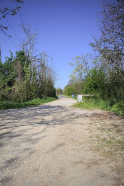 İtalya 'nın kırsal kesimindeki bir koruluğun sonundaki kaldırımlı bir yola çıkan toprak yol.