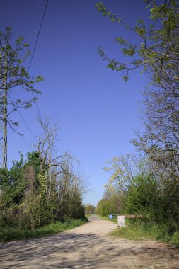 İtalya 'nın kırsal kesimindeki bir koruluğun sonundaki kaldırımlı bir yola çıkan toprak yol.