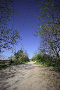 İtalya 'nın kırsal kesimindeki bir koruluğun sonundaki kaldırımlı bir yola çıkan toprak yol.