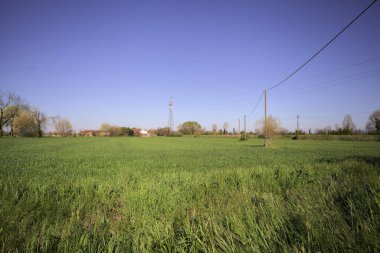 Ufukta ağaçlarla çevrili bir kır evi ve güneşli bir günde üzerinde elektrik hattı olan çim tarlası.