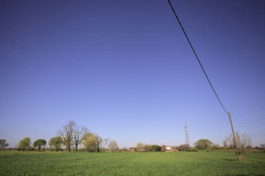 Ufukta ağaçlarla çevrili bir kır evi ve güneşli bir günde üzerinde elektrik hattı olan çim tarlası.