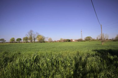 Ufukta ağaçlarla çevrili bir kır evi ve güneşli bir günde üzerinde elektrik hattı olan çim tarlası.