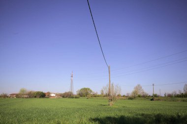 Ufukta ağaçlarla çevrili bir kır evi ve güneşli bir günde üzerinde elektrik hattı olan çim tarlası.