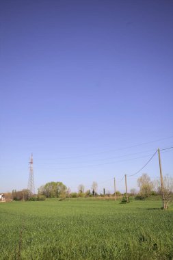 Ufukta ağaçlarla çevrili bir kır evi ve güneşli bir günde üzerinde elektrik hattı olan çim tarlası.