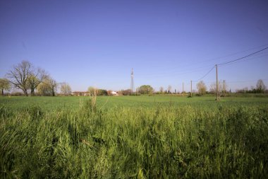 Ufukta ağaçlarla çevrili bir kır evi ve güneşli bir günde üzerinde elektrik hattı olan çim tarlası.