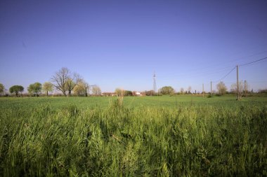 Ufukta ağaçlarla çevrili bir kır evi ve güneşli bir günde üzerinde elektrik hattı olan çim tarlası.