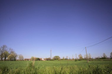 Ufukta ağaçlarla çevrili bir kır evi ve güneşli bir günde üzerinde elektrik hattı olan çim tarlası.