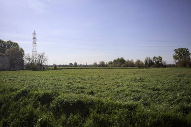 Ufukta ağaçlarla çevrili bir kır evi ve güneşli bir günde üzerinde elektrik hattı olan çim tarlası.