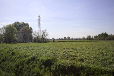 Ufukta ağaçlarla çevrili bir kır evi ve güneşli bir günde üzerinde elektrik hattı olan çim tarlası.